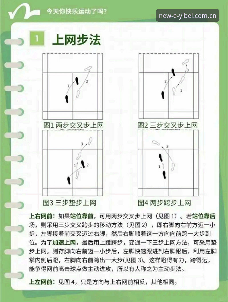 新手如何快速上手易倍体育官方平台？这些操作技巧你知道吗？